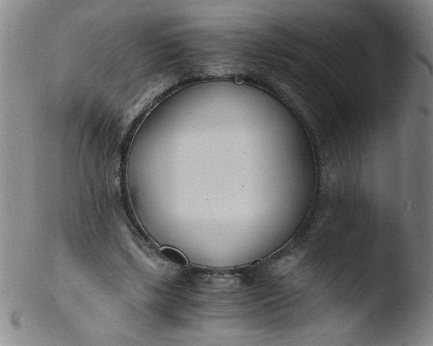 X0000103480443200809261931