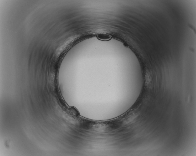 X0000103480444200809261931