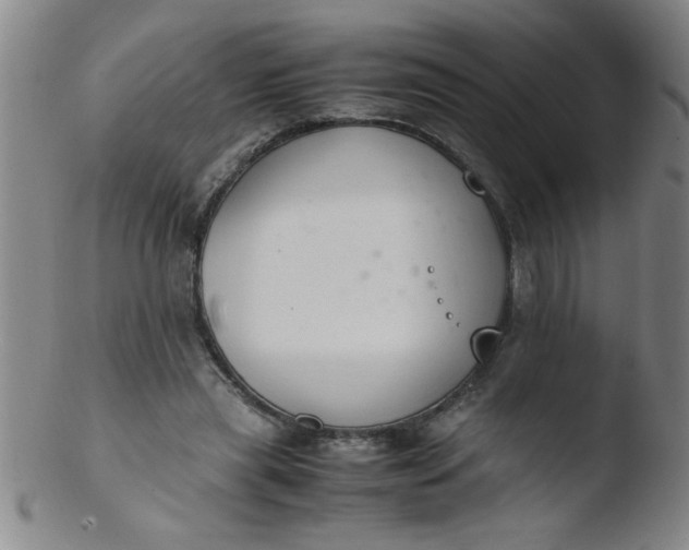 X0000103480445200809261931