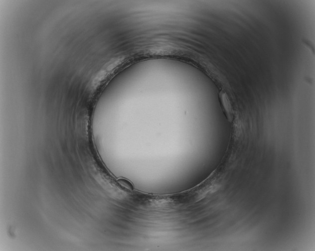 X0000103480446200809261931