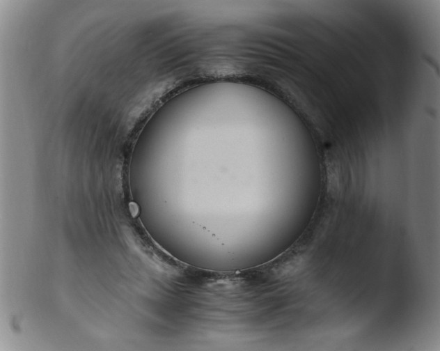 X0000103480447200809261931