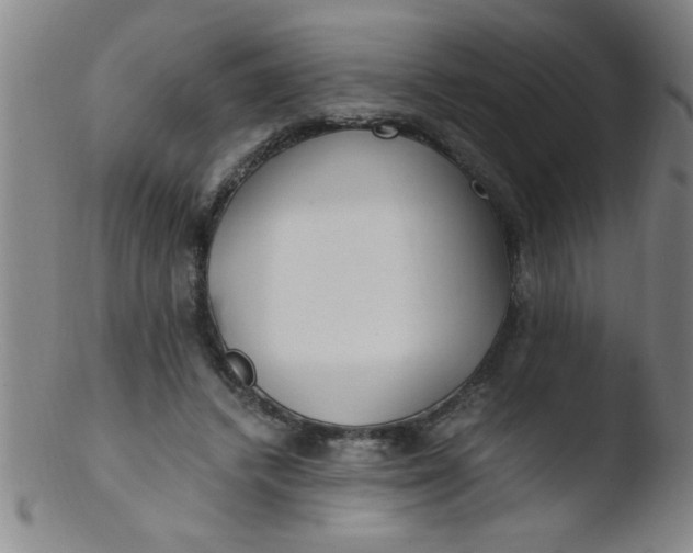 X0000103480448200809261931