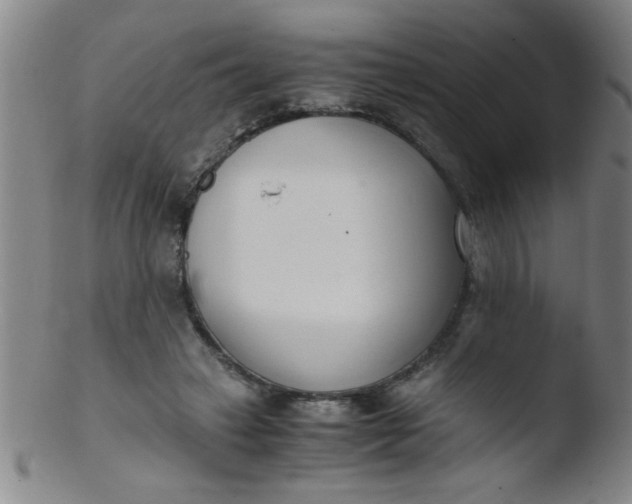 X0000103480449200809261931