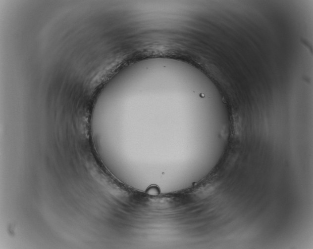 X0000103480450200809261931