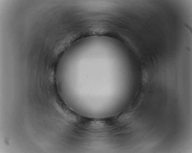 X0000103480451200809261931