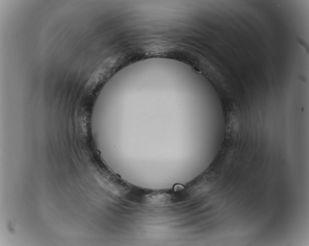 X0000103480452200809261931