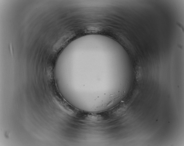 X0000103480455200809261931