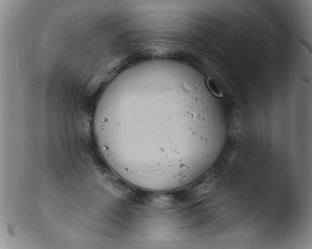 X0000103480456200809261931