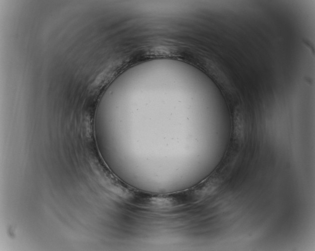 X0000103480457200809261931