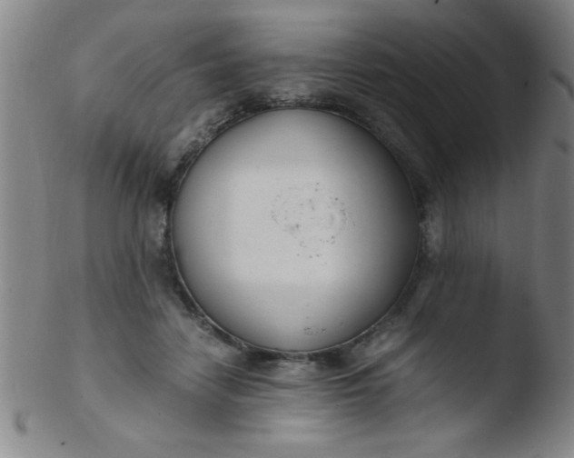 X0000103480458200809261931