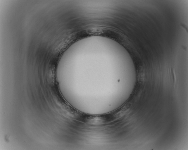 X0000103480460200809261931