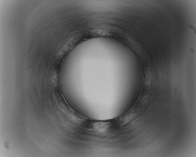 X0000103480465200809261931