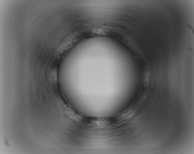 X0000103480466200809261931