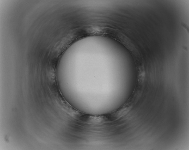 X0000103480469200809261931