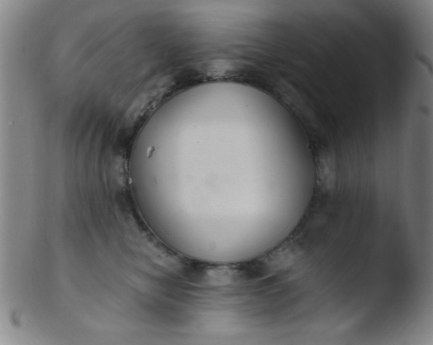 X0000103480470200809261931