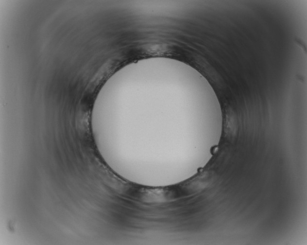 X0000103480473200809261931