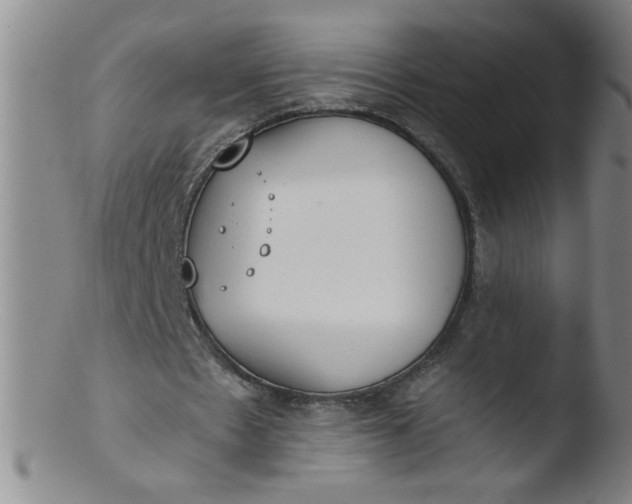 X0000103480481200809261931