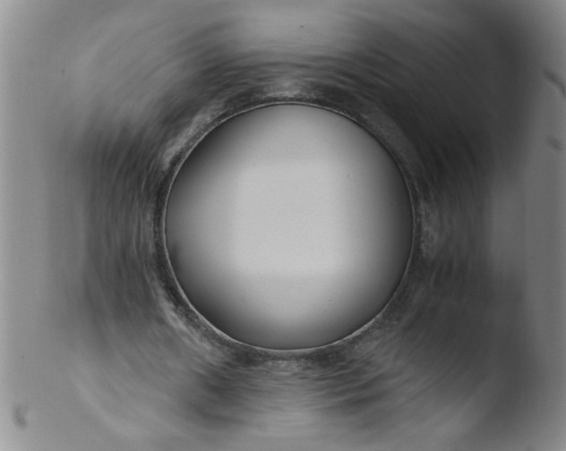 X0000103480482200809261931