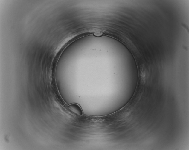 X0000103480484200809261931