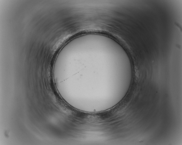 X0000103480487200809261931