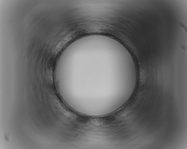 X0000103480489200809261931