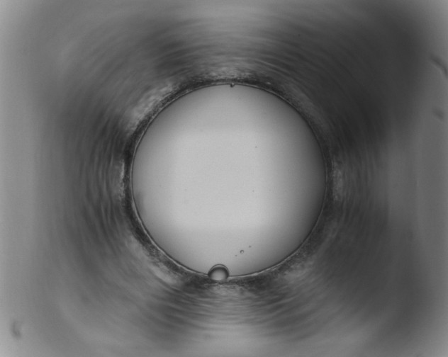 X0000103480490200809261930