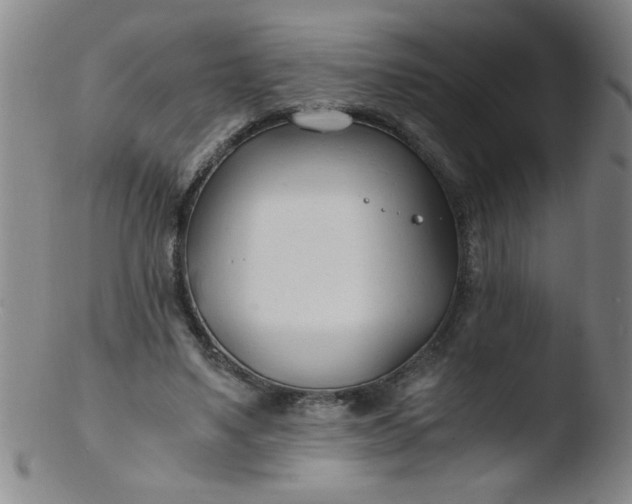 X0000103480491200809261930