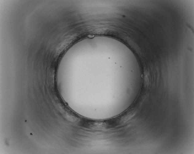 X0000103480493200809261930