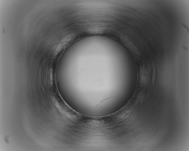 X0000103480494200809261930