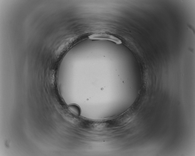 X0000103480495200809261930