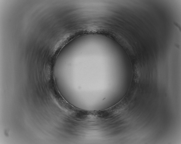 X0000103480496200809261930