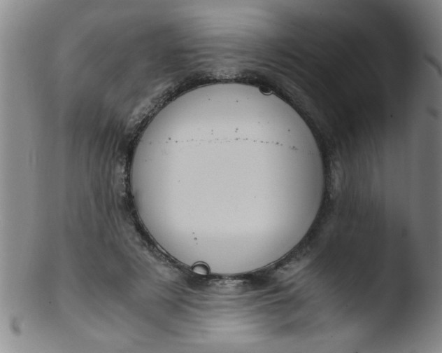 X0000103480497200809261930