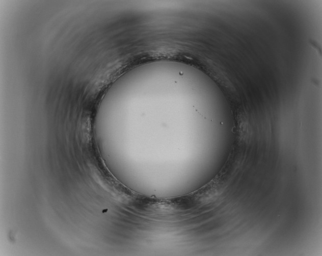 X0000103480498200809261930