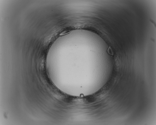 X0000103480499200809261930