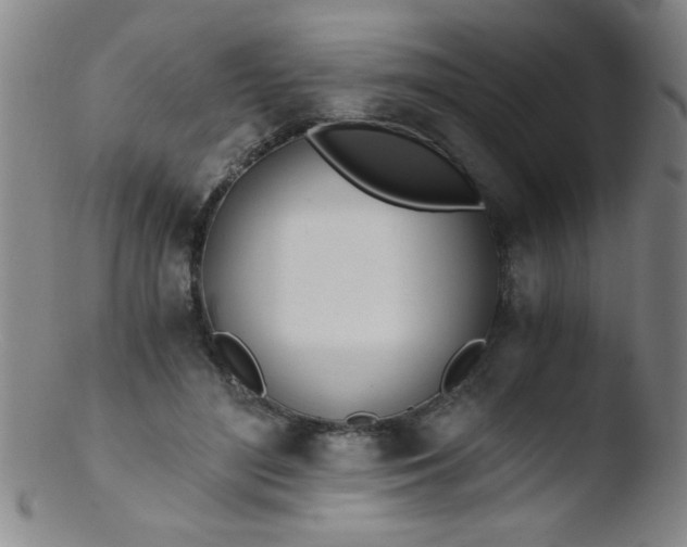 X0000103480500200809261930