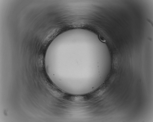 X0000103480501200809261930