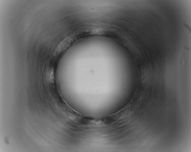 X0000103480502200809261930