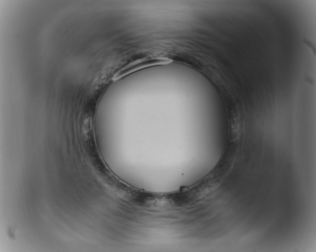 X0000103480503200809261930