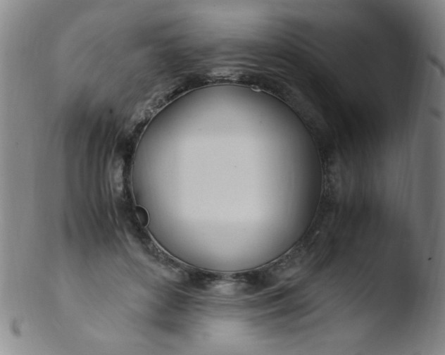 X0000103480504200809261930