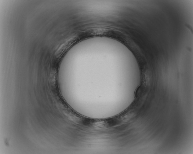 X0000103480505200809261930