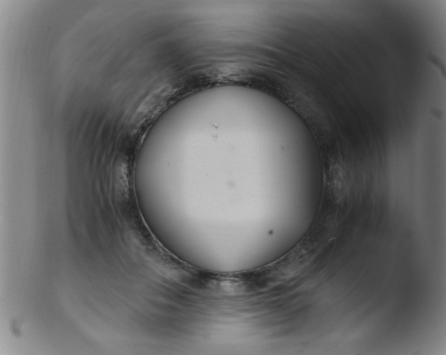 X0000103480506200809261930