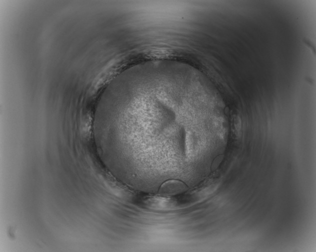 X0000103480507200809261930