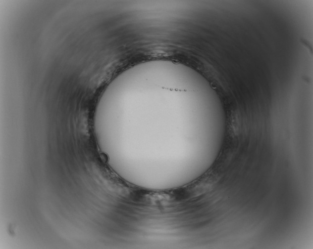 X0000103480512200809261930