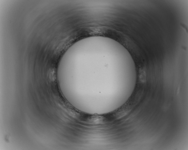 X0000103480514200809261930