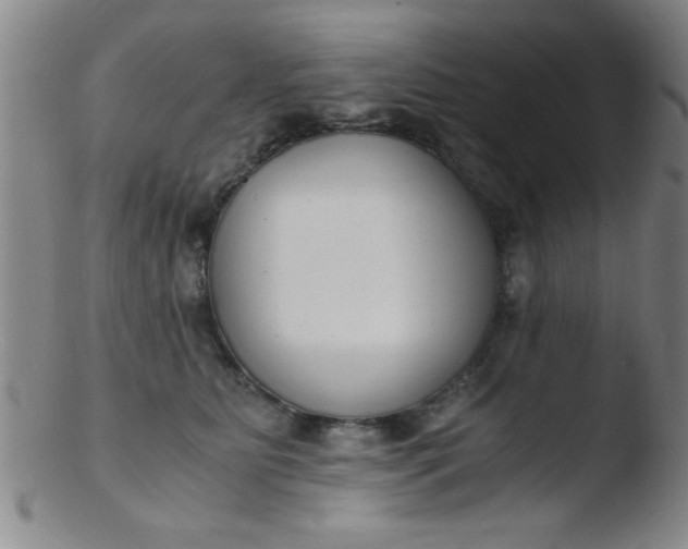 X0000103480515200809261930