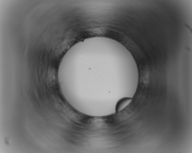 X0000103480518200809261930