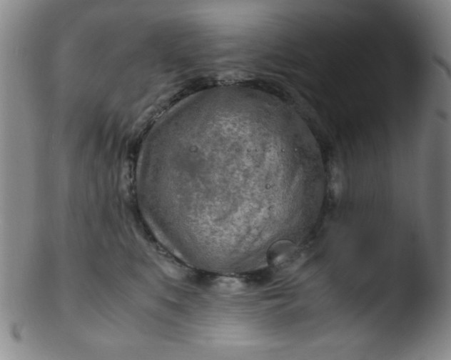 X0000103480519200809261930