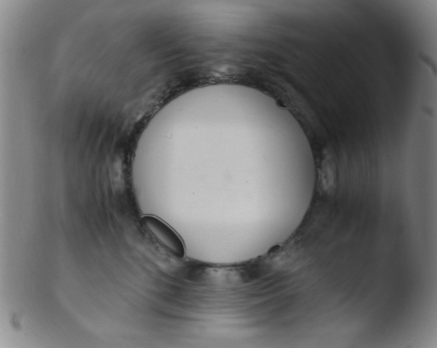 X0000103480520200809261930