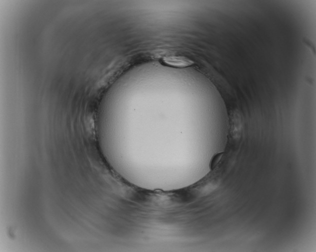 X0000103480523200809261930