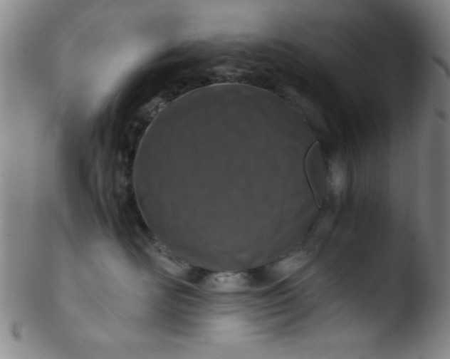 X0000103480526200809261930